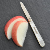 Silver Fruit Knife
