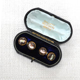 Shell Cuff Links