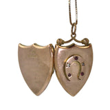 Rose Gold Horse Shoe Locket