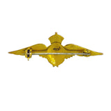 RAF Wings Brooch