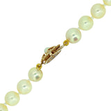 Pearl Necklace with Yellow Gold & Pearl Clasp