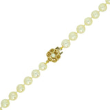 Pearl Necklace with Yellow Gold & Pearl Clasp
